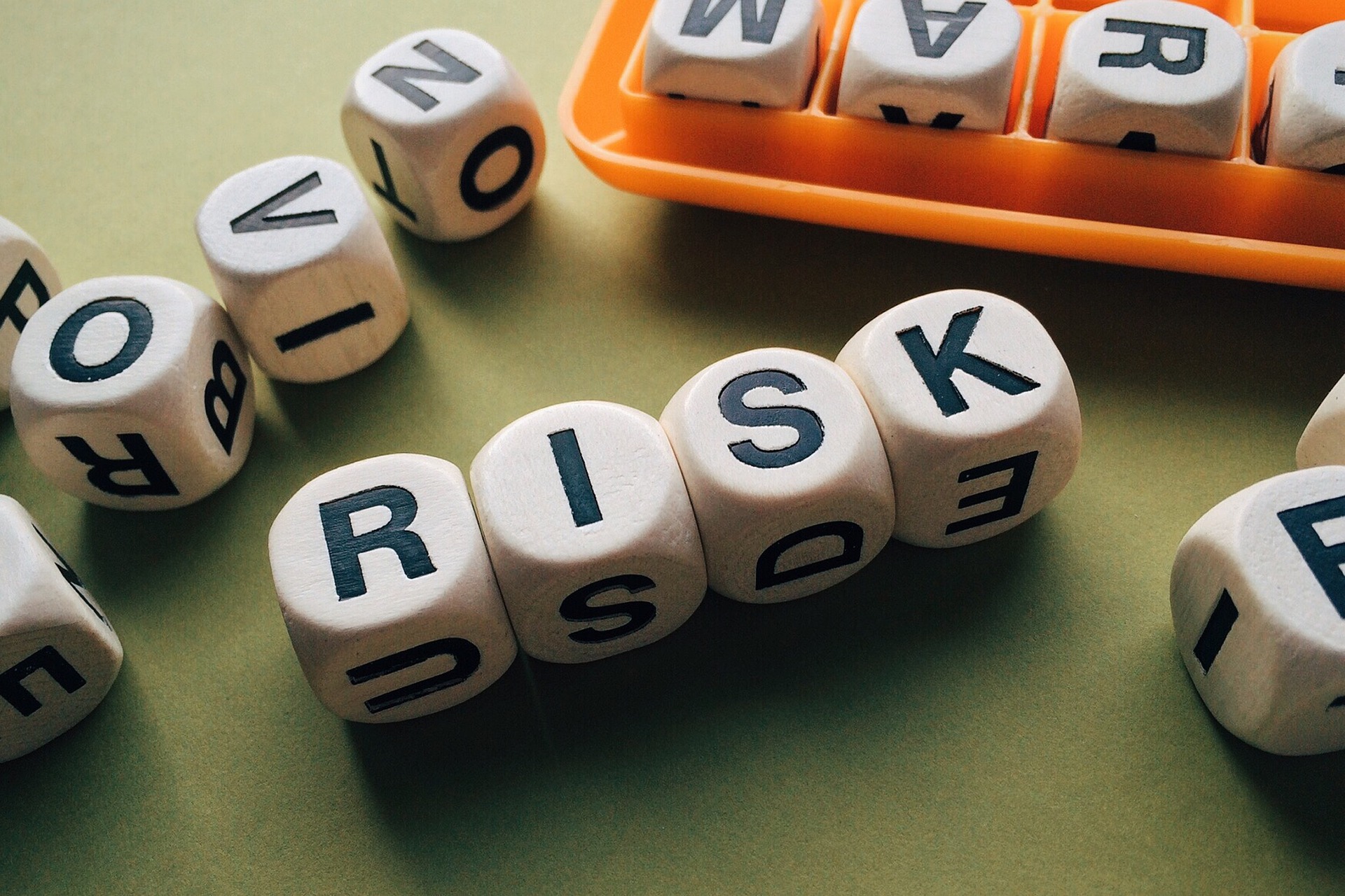 The management of risk